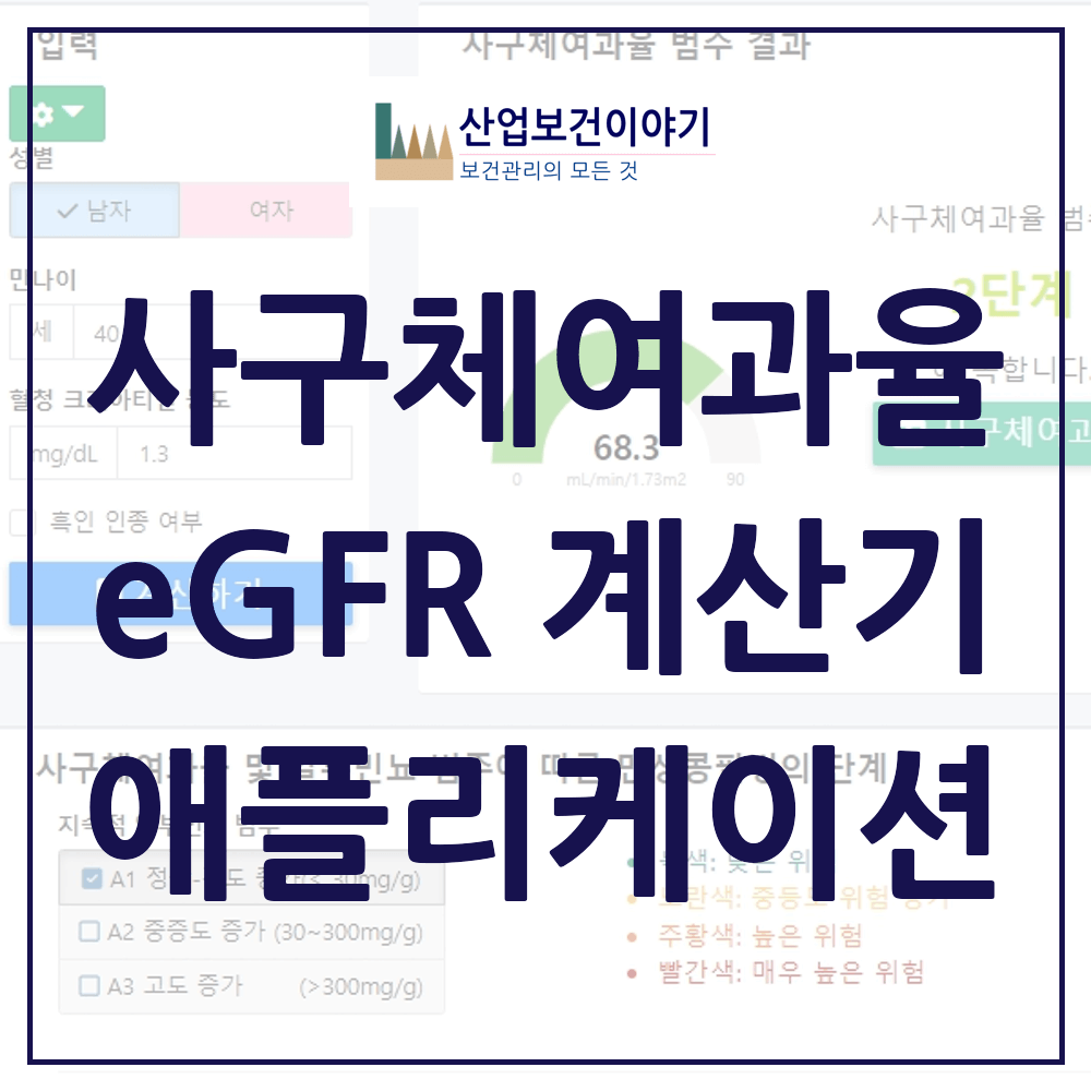 추정사구체여과율(eGFR) 계산기