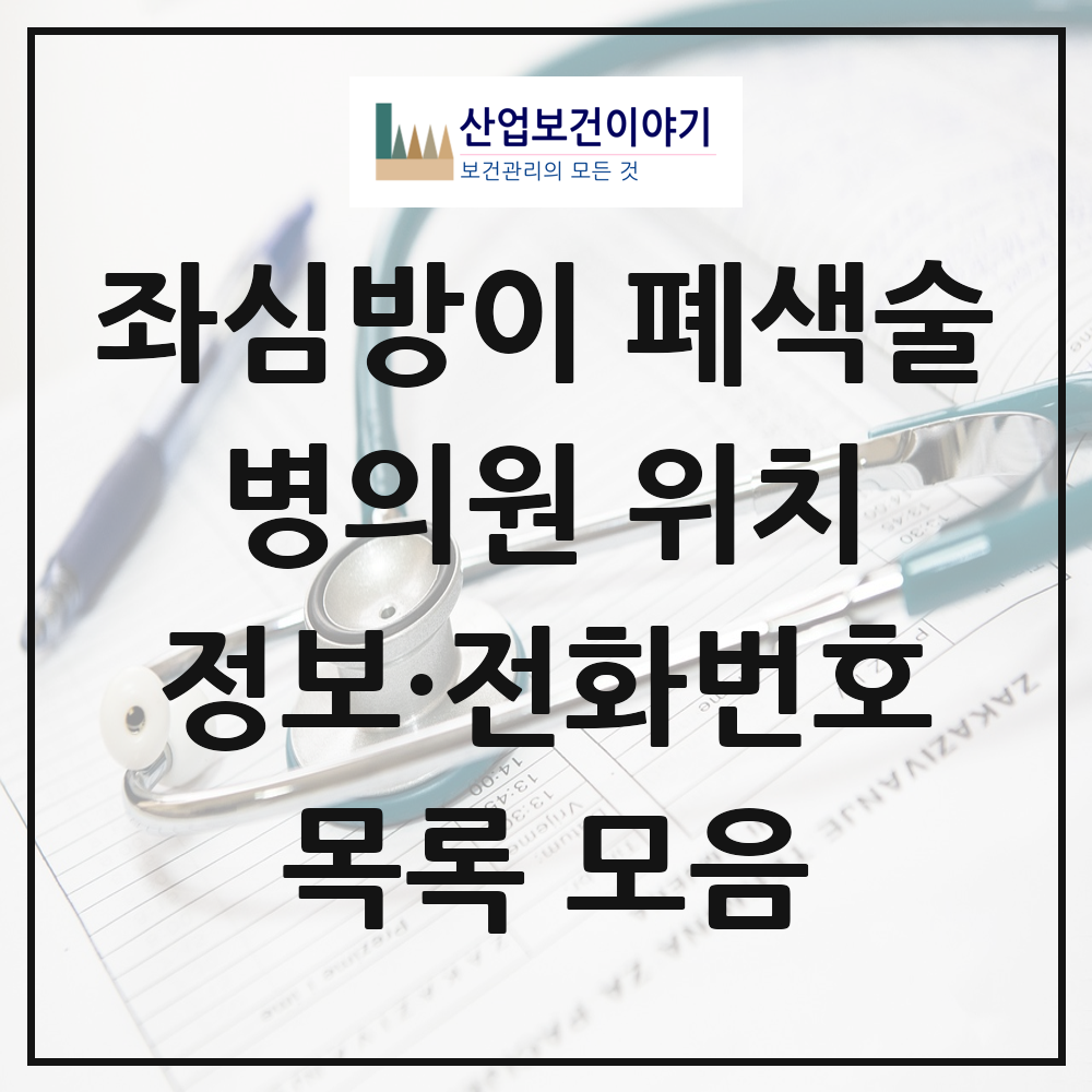 2025 전국 경피적 좌심방이 폐색술 PLLAO 실시기관 의원·병원 목록 48곳