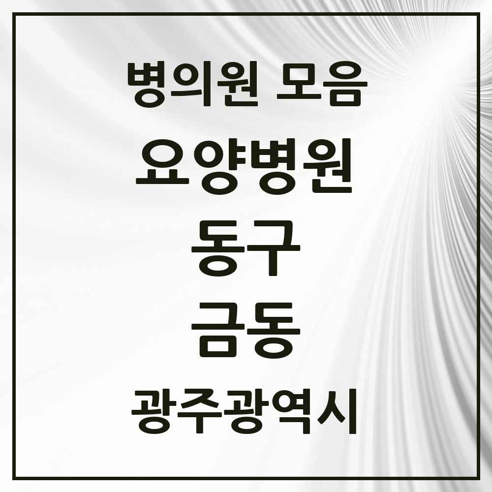 2025 금동 요양병원 모음 1곳 | 광주광역시 동구 추천 리스트