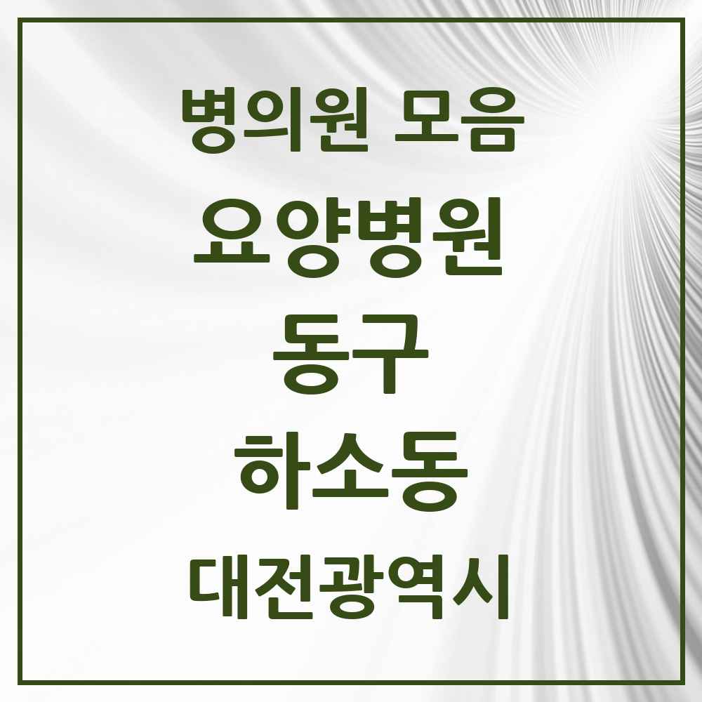 2025 대전광역시 동구 하소동 요양병원 목록 1곳