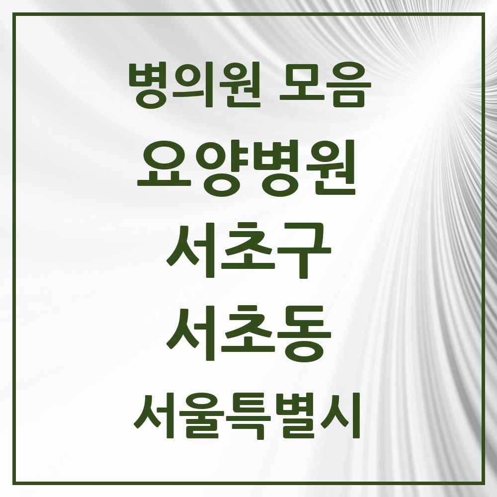 2025 서울특별시 서초구 서초동 요양병원 목록 1곳