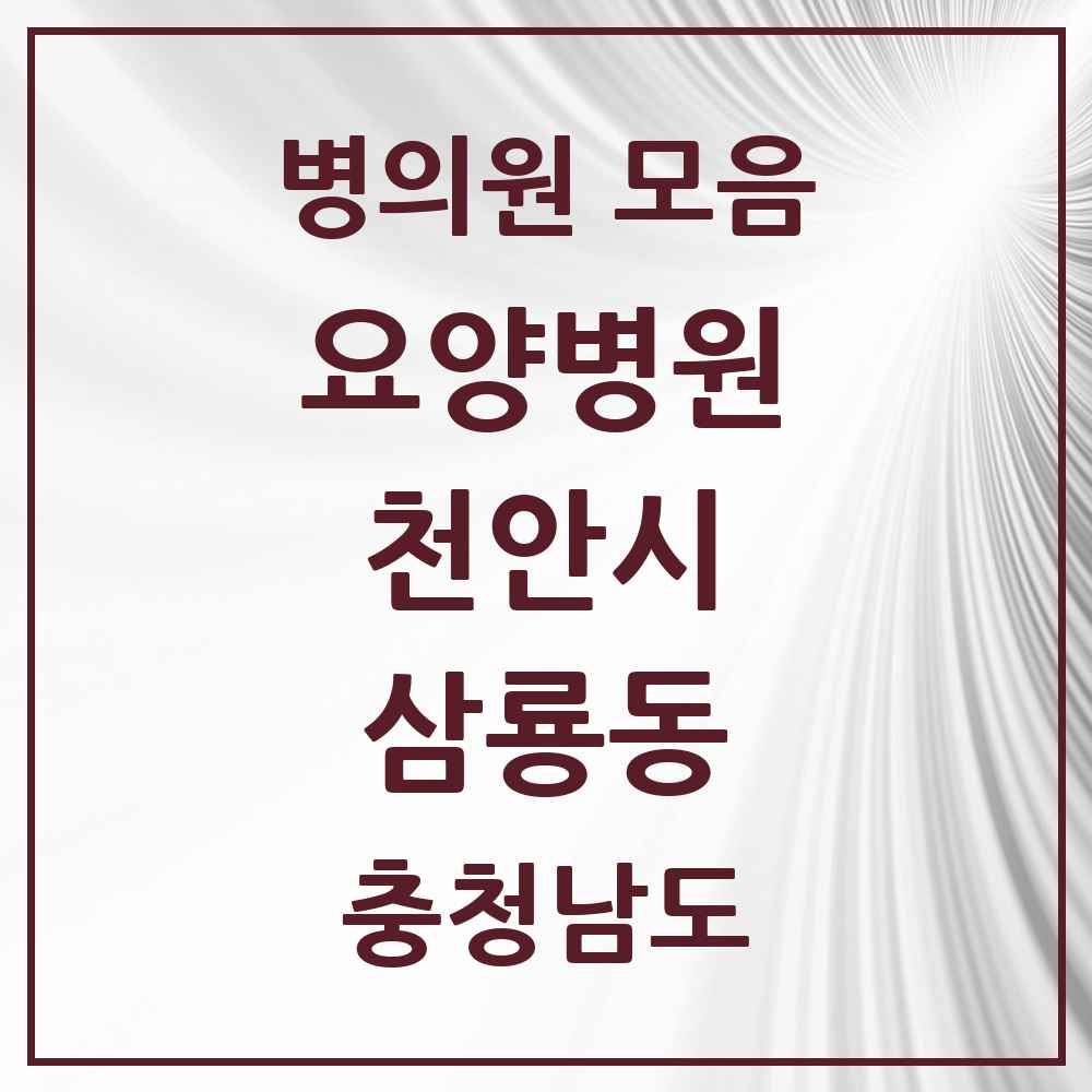 2025 충청남도 천안시 삼룡동 요양병원 목록 1곳