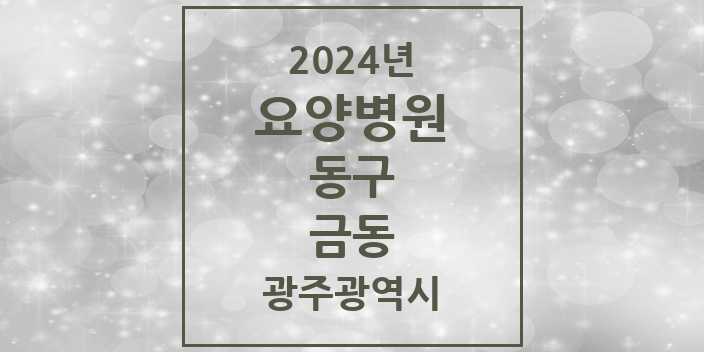 2024 금동 요양병원 모음 1곳 | 광주광역시 동구 추천 리스트