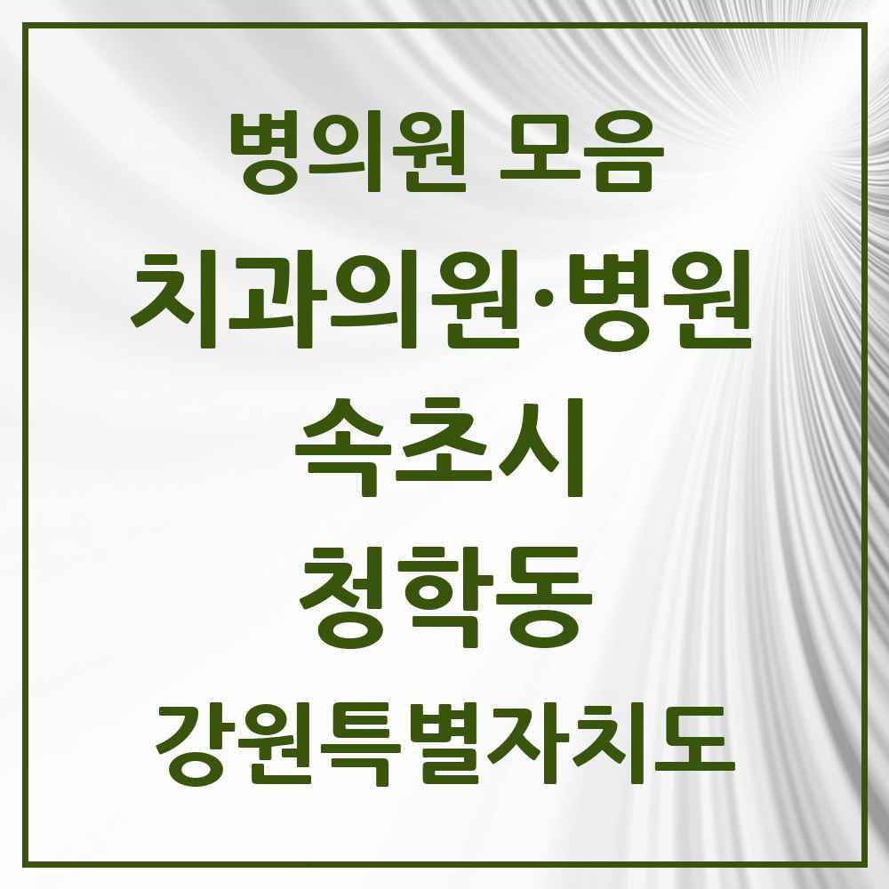 2025 강원특별자치도 속초시 청학동 치과 목록 4곳