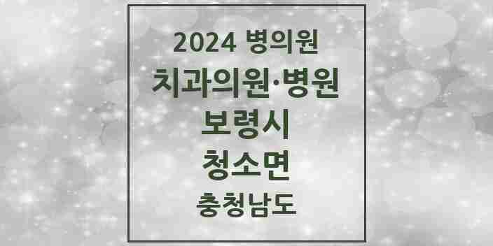 2024 청소면 치과 모음 1곳 | 충청남도 보령시 추천 리스트