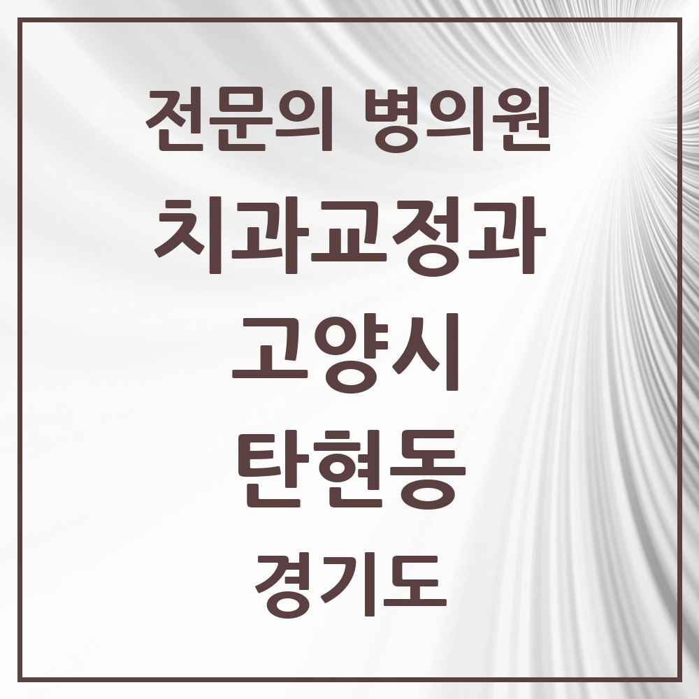 2025 경기도 고양시 탄현동 치과교정과 전문의 치과 목록 22곳