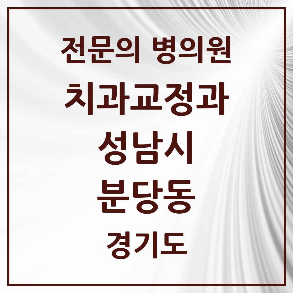 2025 경기도 성남시 분당동 치과교정과 전문의 치과 목록 44곳