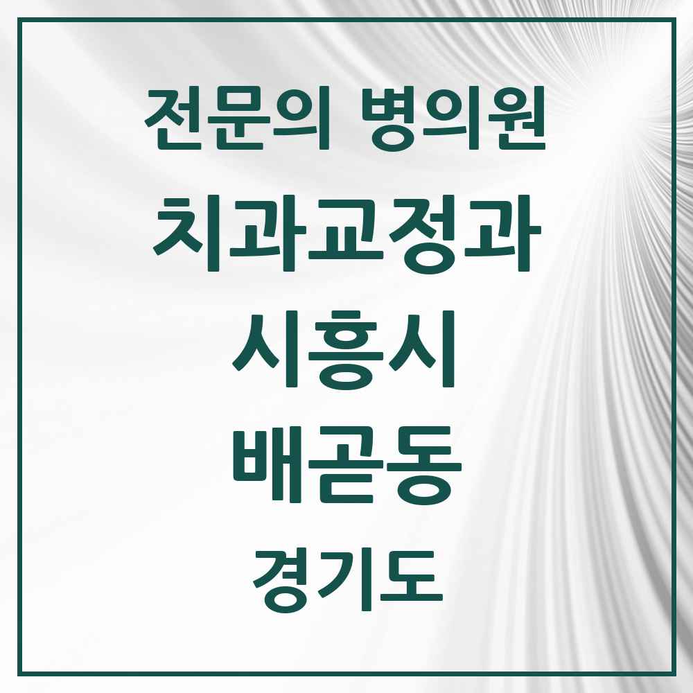 2025 경기도 시흥시 배곧동 치과교정과 전문의 치과 목록 5곳