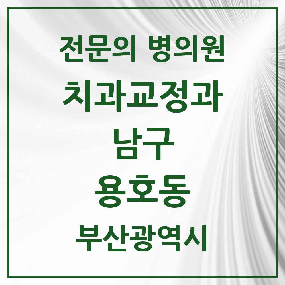 2025 부산광역시 남구 용호동 치과교정과 전문의 치과 목록 4곳