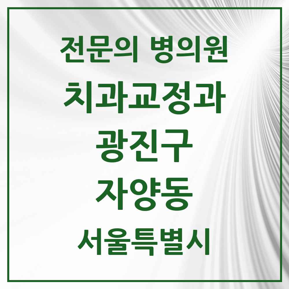 2025 서울특별시 광진구 자양동 치과교정과 전문의 치과 목록 10곳