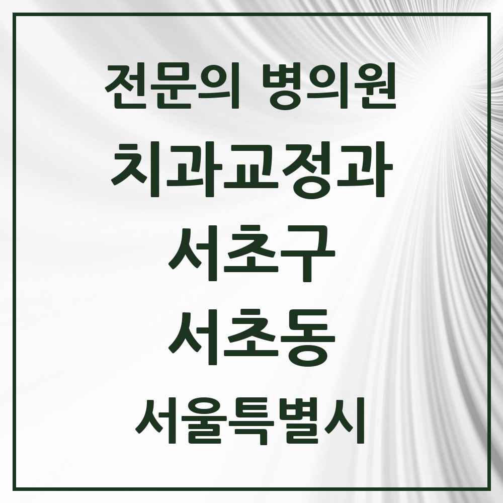 2025 서울특별시 서초구 서초동 치과교정과 전문의 치과 목록 29곳
