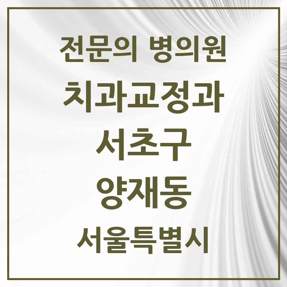 2025 서울특별시 서초구 양재동 치과교정과 전문의 치과 목록 29곳