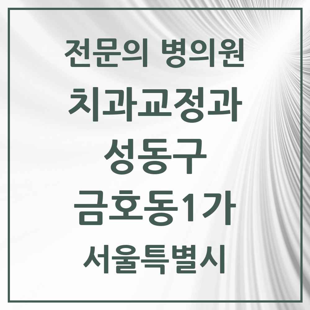 2025 서울특별시 성동구 금호동1가 치과교정과 전문의 치과 목록 8곳