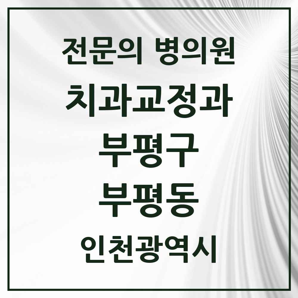 2025 인천광역시 부평구 부평동 치과교정과 전문의 치과 목록 10곳