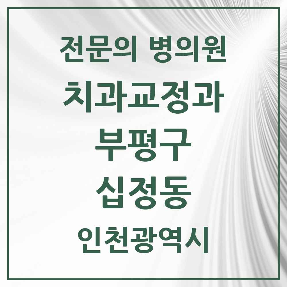 2025 인천광역시 부평구 십정동 치과교정과 전문의 치과 목록 10곳