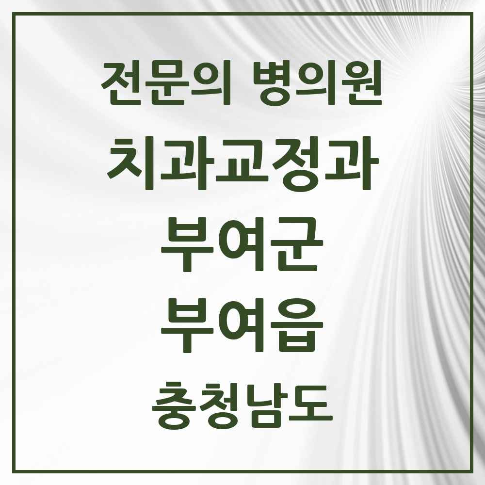 2025 충청남도 부여군 부여읍 치과교정과 전문의 치과 목록 1곳