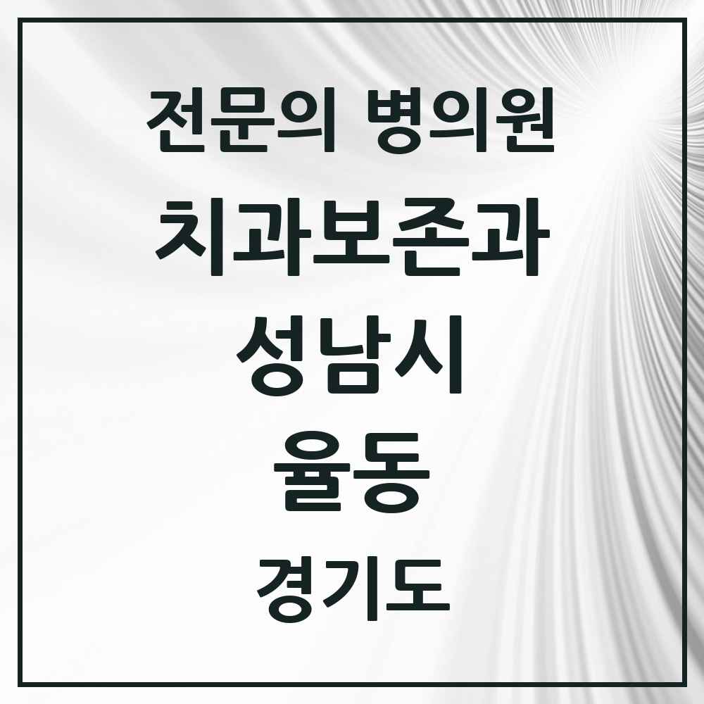 2025 경기도 성남시 율동 치과보존과 전문의 치과 목록 15곳