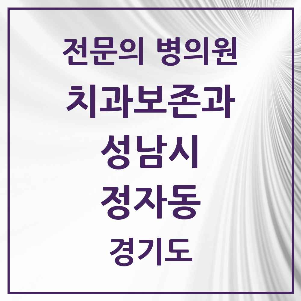 2025 경기도 성남시 정자동 치과보존과 전문의 치과 목록 15곳