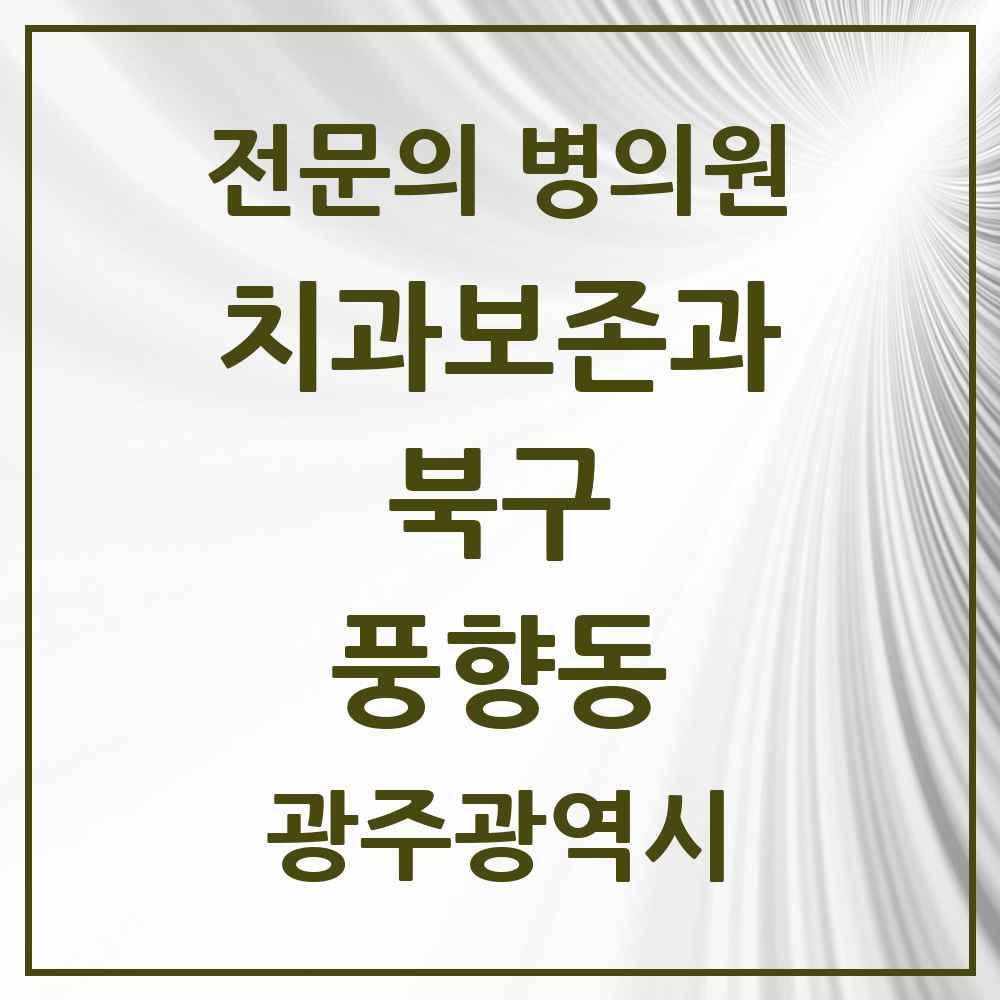 2025 광주광역시 북구 풍향동 치과보존과 전문의 치과 목록 5곳