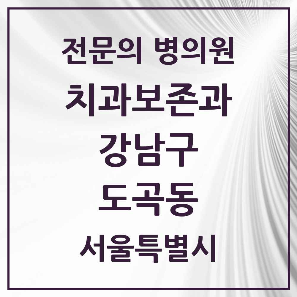 2025 서울특별시 강남구 도곡동 치과보존과 전문의 치과 목록 18곳
