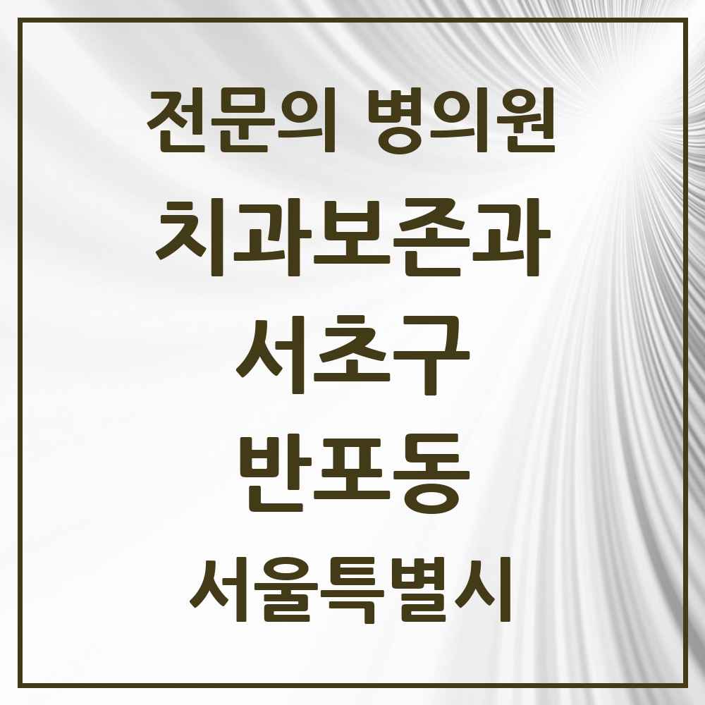 2025 서울특별시 서초구 반포동 치과보존과 전문의 치과 목록 15곳