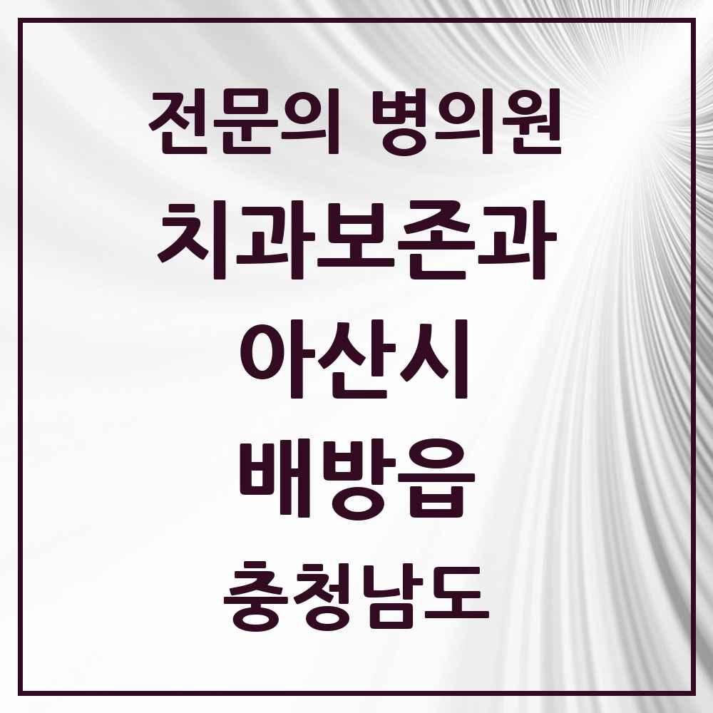 2025 충청남도 아산시 배방읍 치과보존과 전문의 치과 목록 2곳