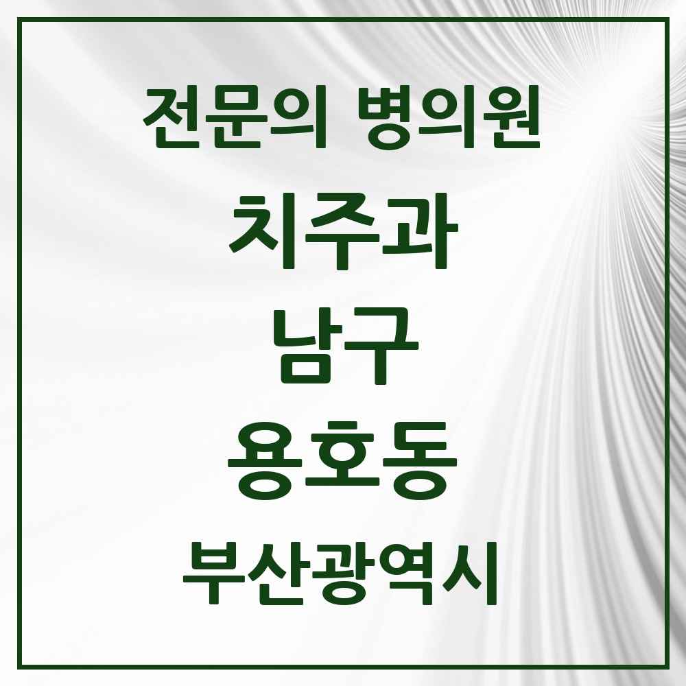2025 부산광역시 남구 용호동 치주과 전문의 치과 목록 3곳