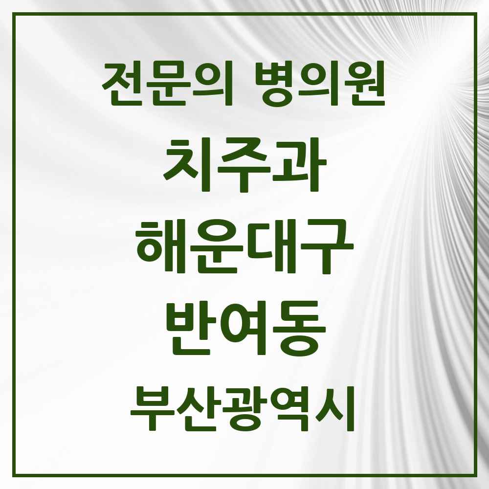 2025 부산광역시 해운대구 반여동 치주과 전문의 치과 목록 8곳