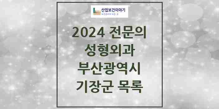 2024 기장군 성형외과 전문의 의원·병원 모음 | 부산광역시 리스트