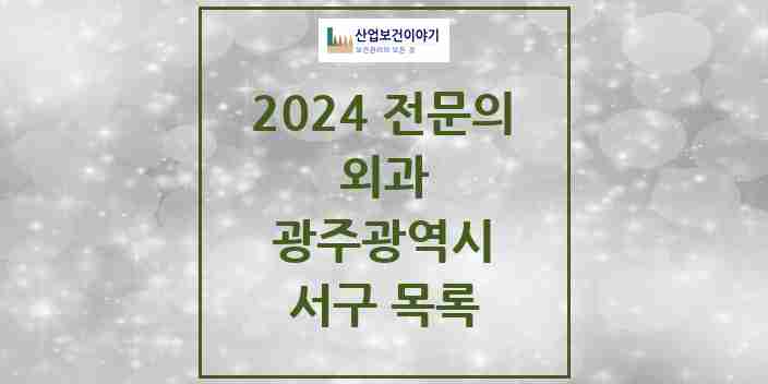 2024 서구 외과 전문의 의원·병원 모음 | 광주광역시 리스트