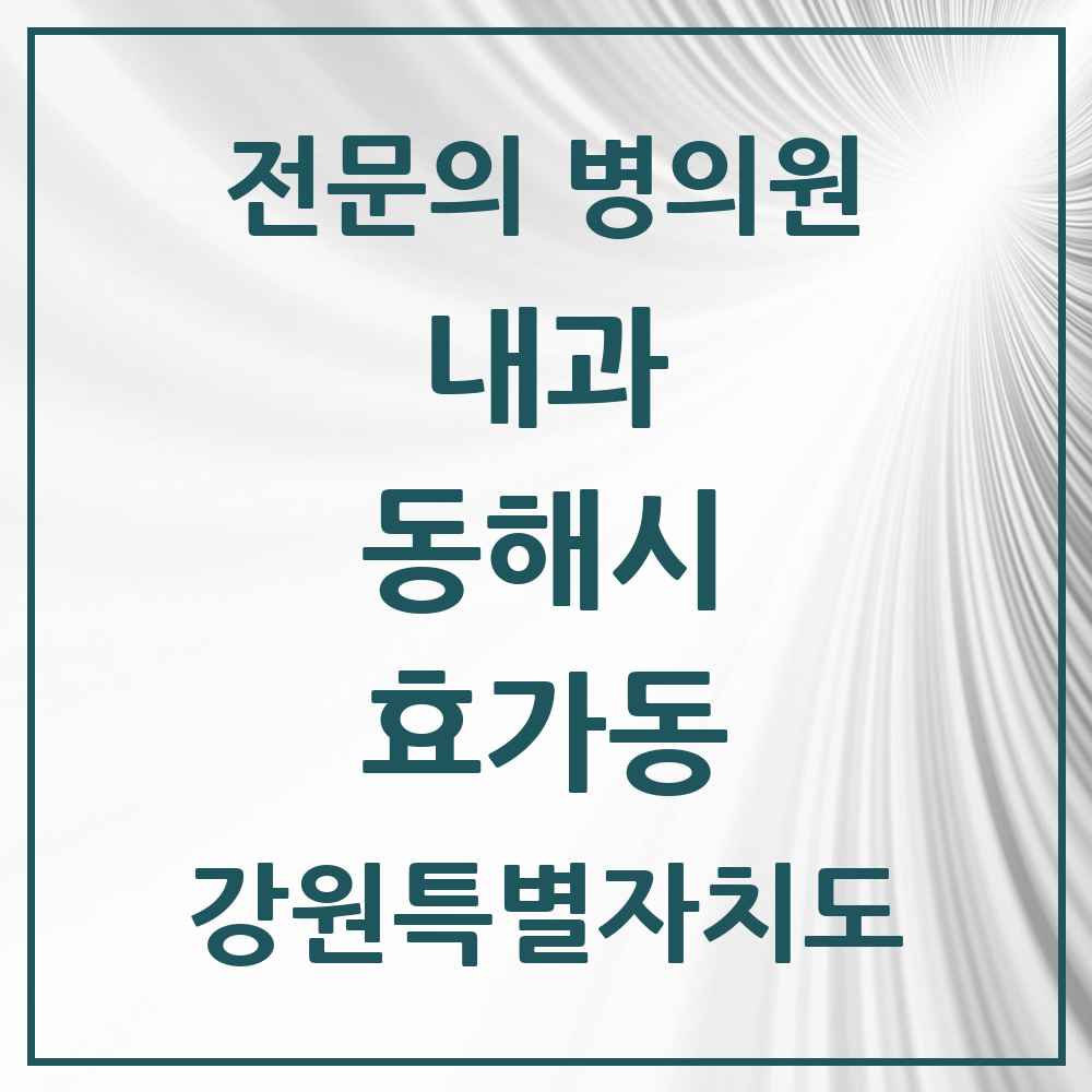 2025 강원특별자치도 동해시 효가동 내과 전문의 의원·병원 목록 2곳