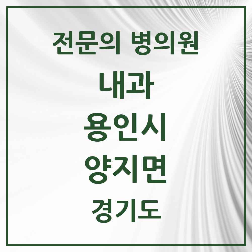 2025 경기도 용인시 양지면 내과 전문의 의원·병원 목록 1곳