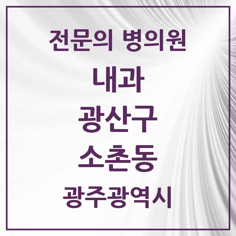 2025 광주광역시 광산구 소촌동 내과 전문의 의원·병원 목록 1곳