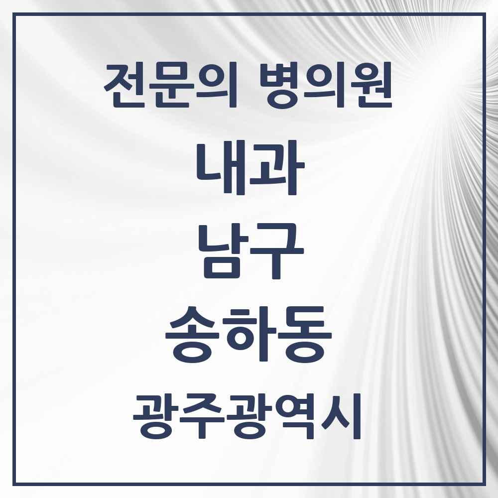 2025 광주광역시 남구 송하동 내과 전문의 의원·병원 목록 3곳