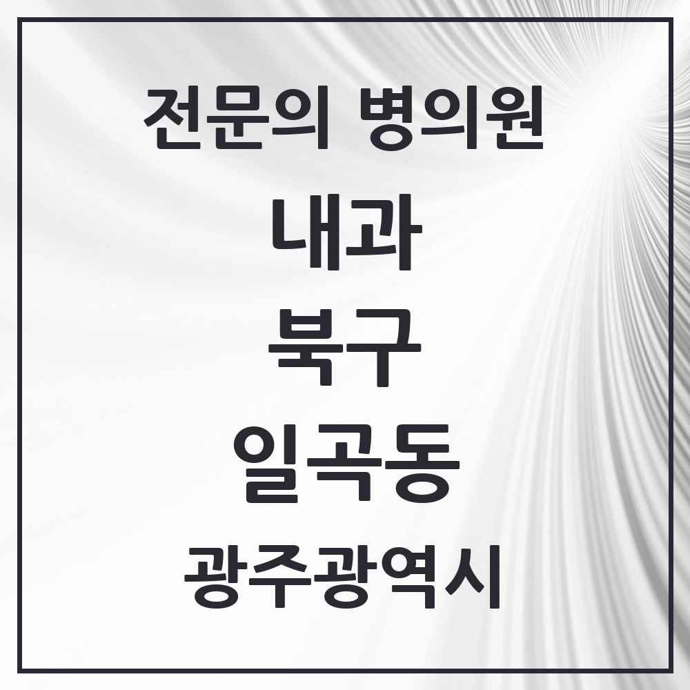 2025 광주광역시 북구 일곡동 내과 전문의 의원·병원 목록 5곳