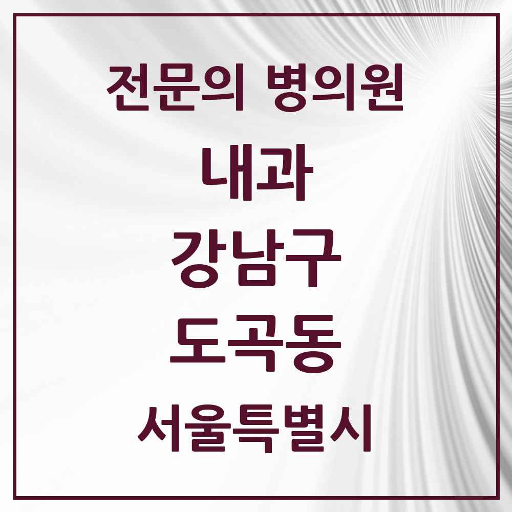 2025 서울특별시 강남구 도곡동 내과 전문의 의원·병원 목록 11곳