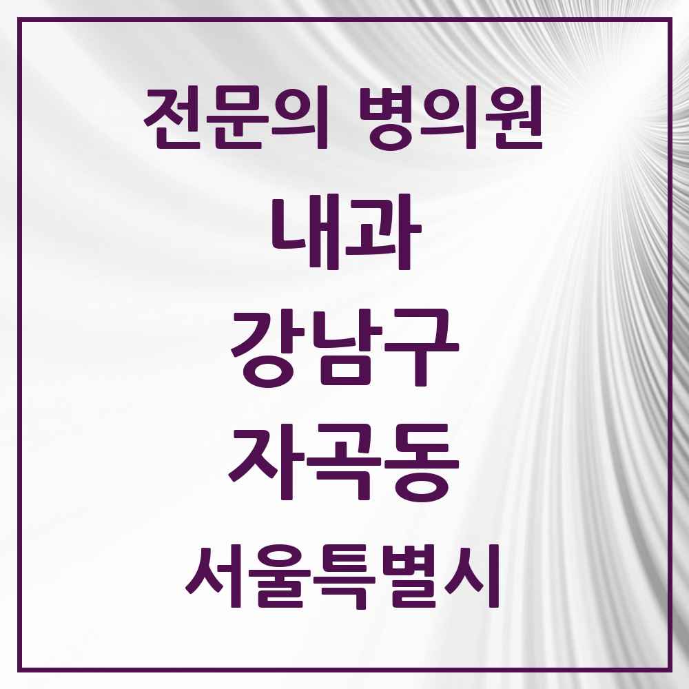 2025 서울특별시 강남구 자곡동 내과 전문의 의원·병원 목록 1곳