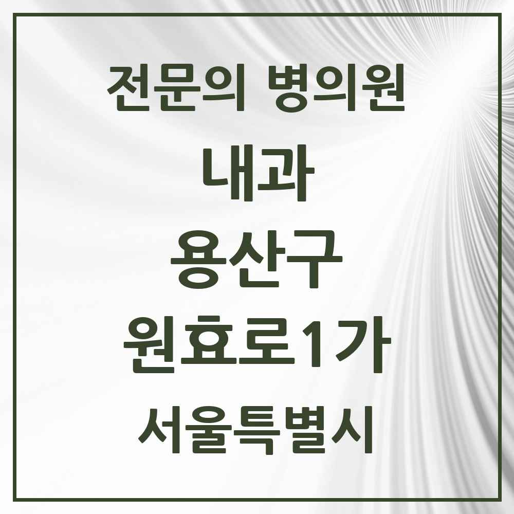 2025 서울특별시 용산구 원효로1가 내과 전문의 의원·병원 목록 2곳