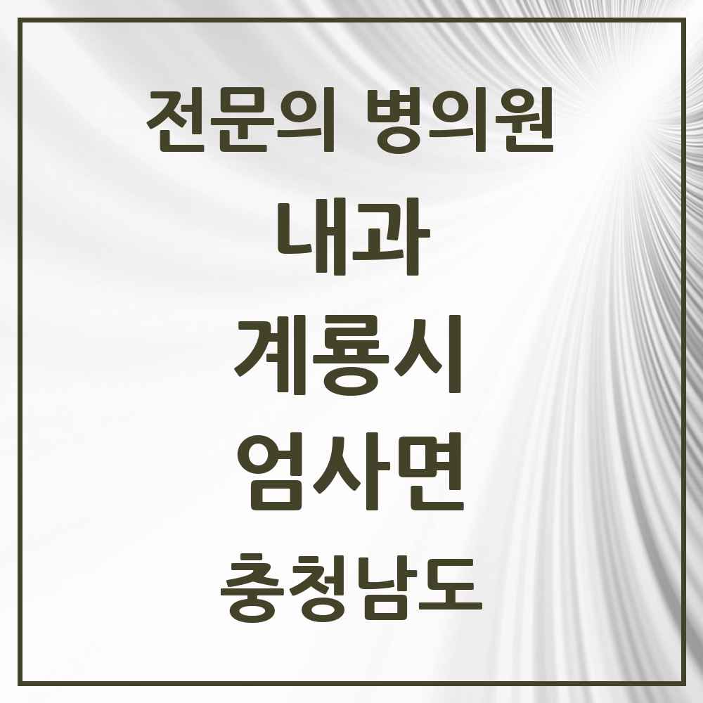 2025 충청남도 계룡시 엄사면 내과 전문의 의원·병원 목록 3곳