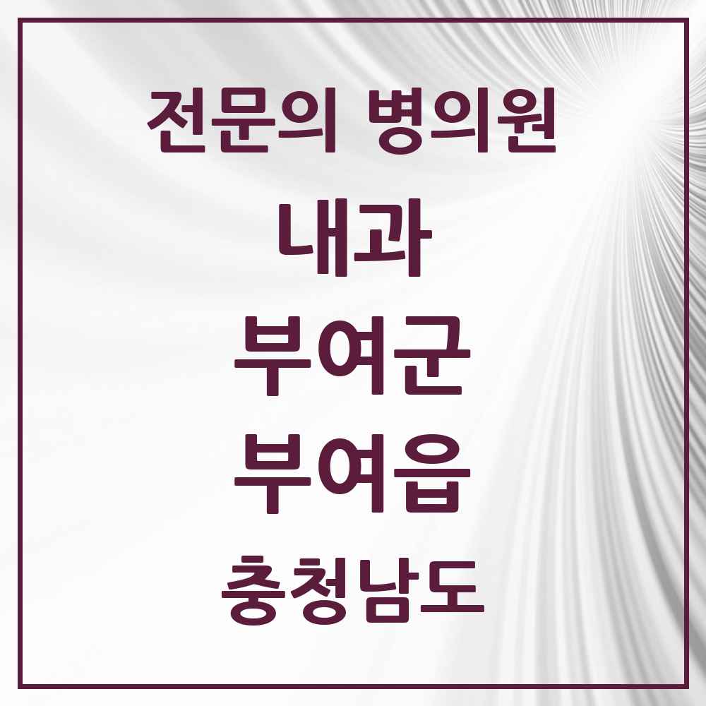2025 충청남도 부여군 부여읍 내과 전문의 의원·병원 목록 6곳