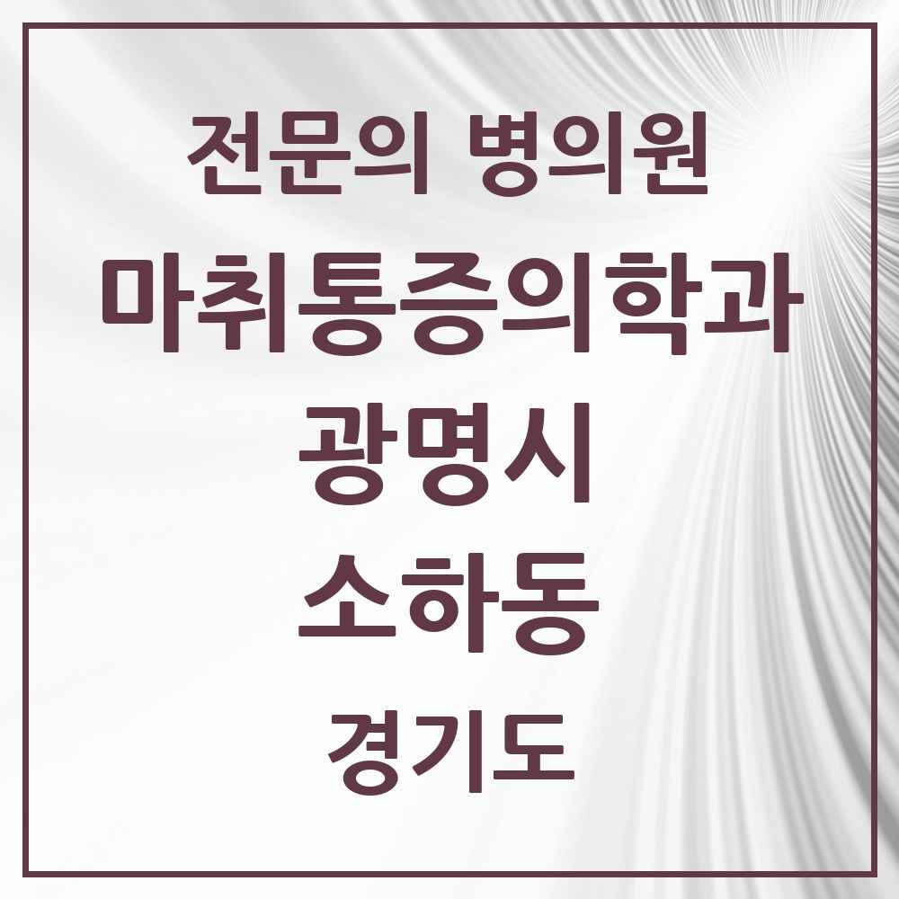 2025 경기도 광명시 소하동 마취통증의학과 전문의 의원·병원 목록 2곳