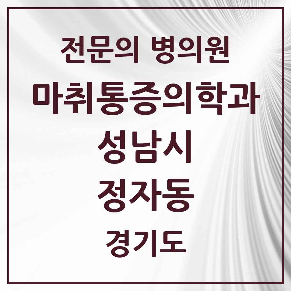 2025 경기도 성남시 정자동 마취통증의학과 전문의 의원·병원 목록 1곳