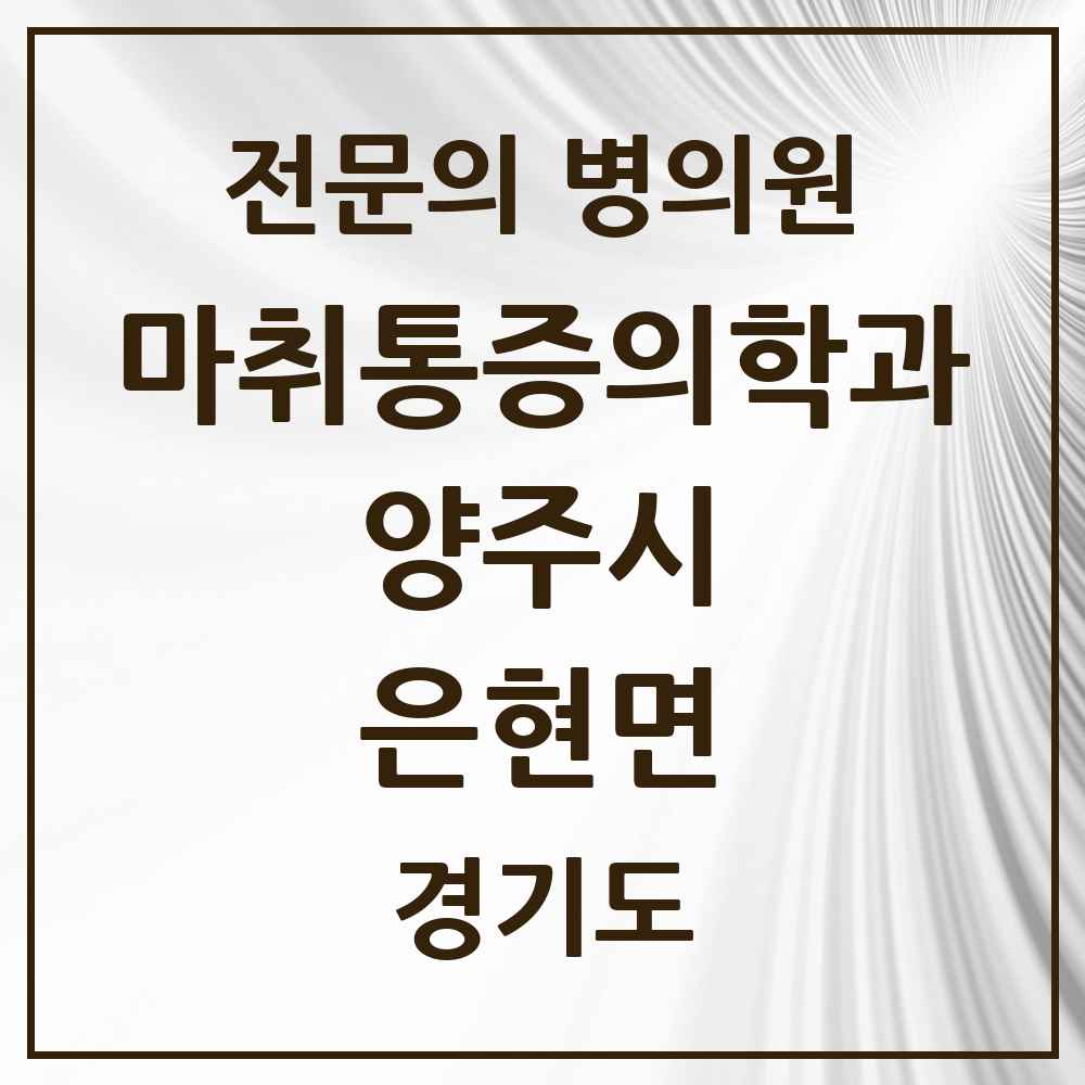 2025 경기도 양주시 은현면 마취통증의학과 전문의 의원·병원 목록 1곳