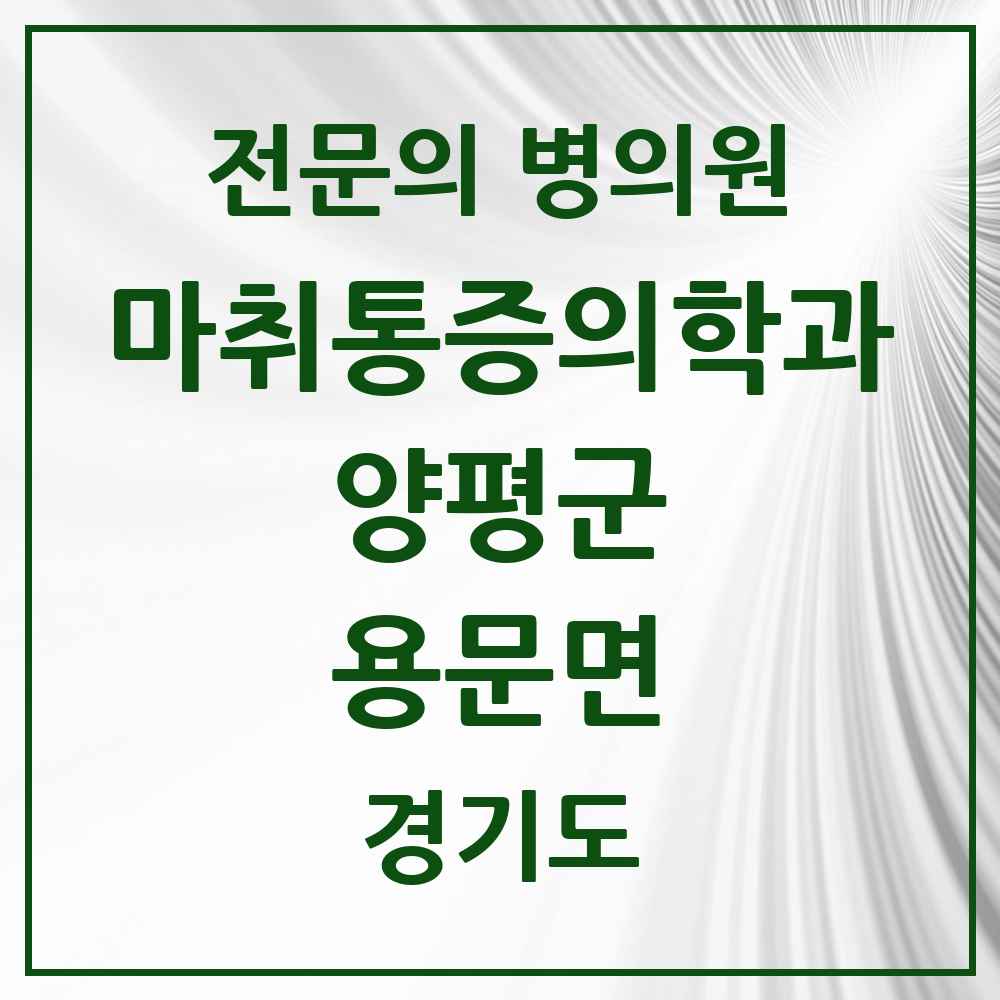 2025 경기도 양평군 용문면 마취통증의학과 전문의 의원·병원 목록 1곳