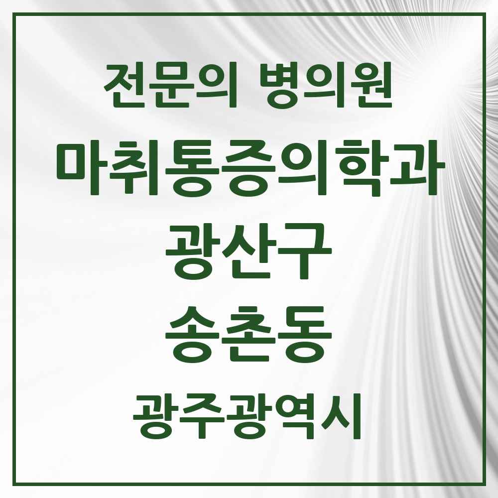 2025 광주광역시 광산구 송촌동 마취통증의학과 전문의 의원·병원 목록 1곳