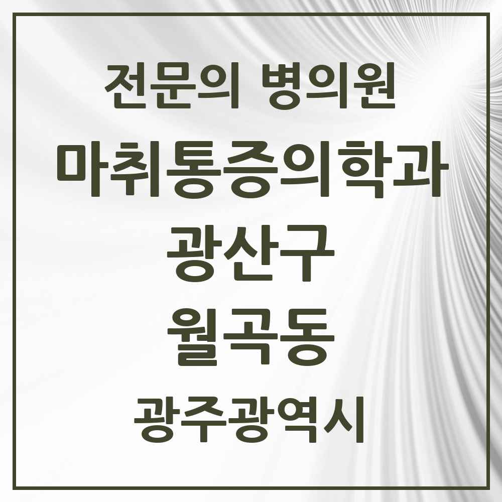 2025 광주광역시 광산구 월곡동 마취통증의학과 전문의 의원·병원 목록 1곳