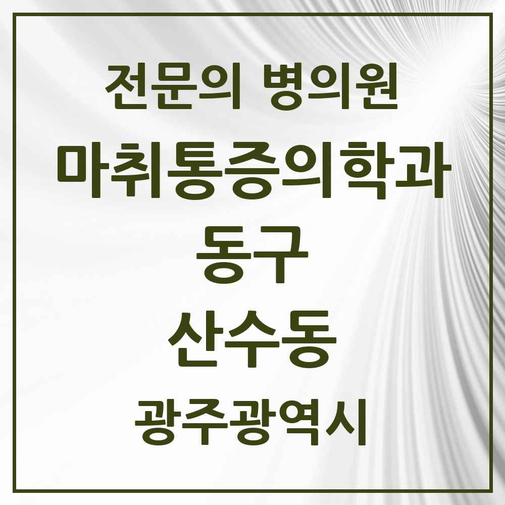 2025 광주광역시 동구 산수동 마취통증의학과 전문의 의원·병원 목록 1곳