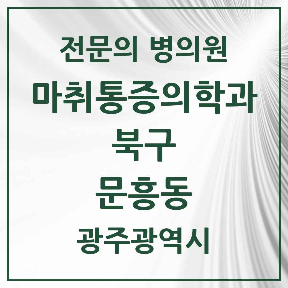 2025 광주광역시 북구 문흥동 마취통증의학과 전문의 의원·병원 목록 1곳