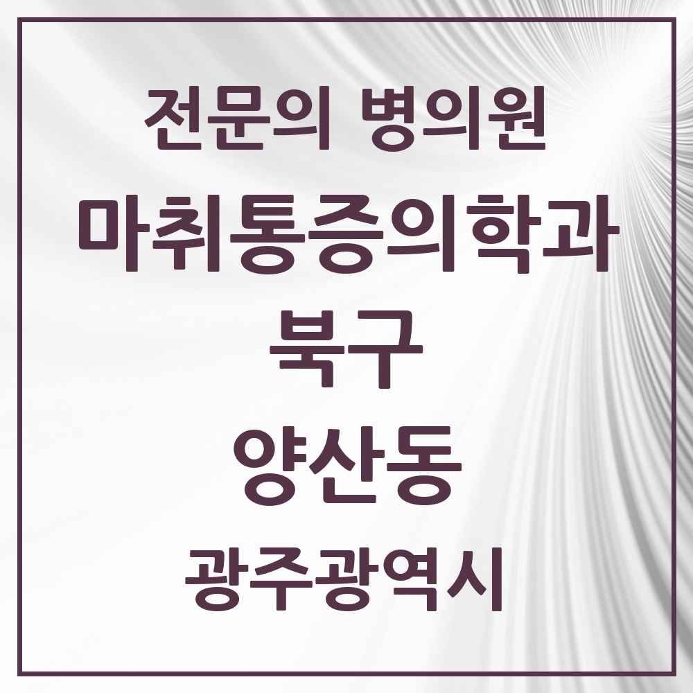 2025 광주광역시 북구 양산동 마취통증의학과 전문의 의원·병원 목록 3곳