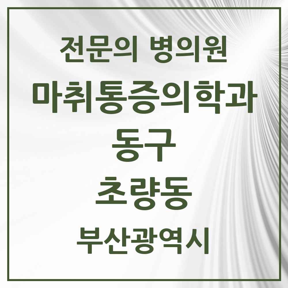 2025 부산광역시 동구 초량동 마취통증의학과 전문의 의원·병원 목록 4곳